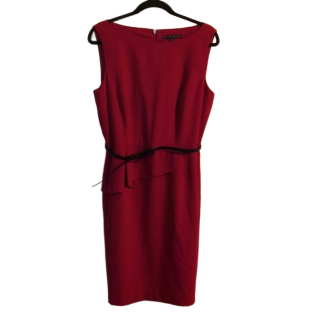 Electrify Your Style with the Fun & Elegant Antonio Melanie Dress NWOT